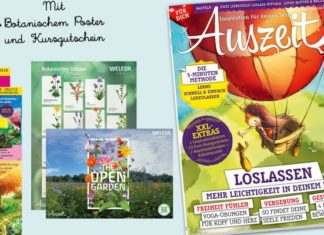 AUSZEIT 2/2021: Loslassen – mehr Leichtigkeit in deinem Leben