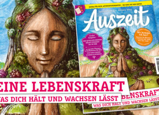AUSZEIT 2/2023: Die Kraft deiner Wurzeln
