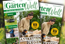 MEINE GARTENWELT 2026 – Gut gerüstet für den Gartenstart MeineGartenwelt_1-2026 Teaser